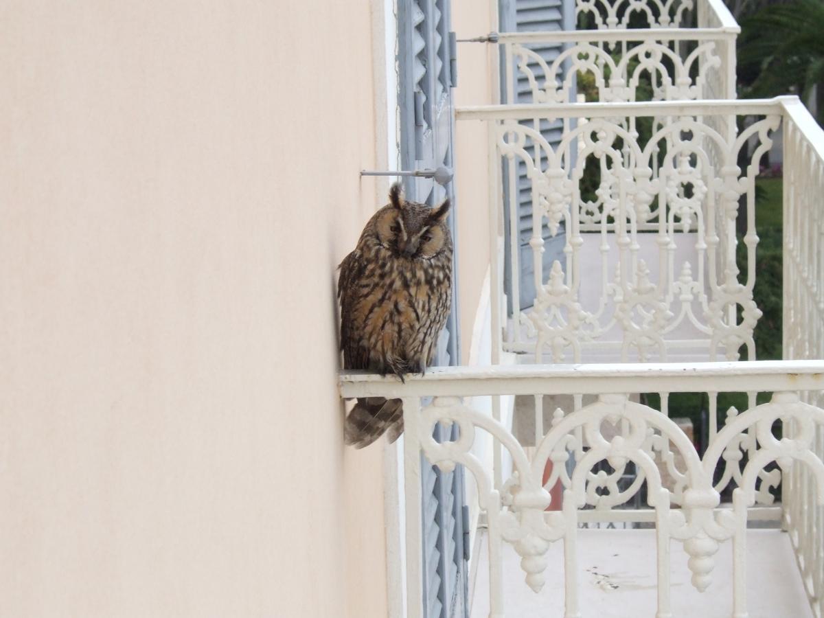 Albergo Lucy Trani Kültér fotó
